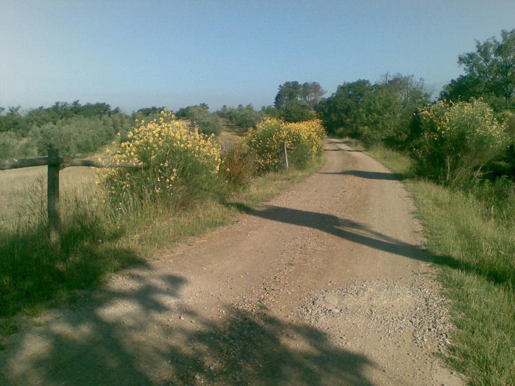 Podere Campovecchio Rapale 외부 사진