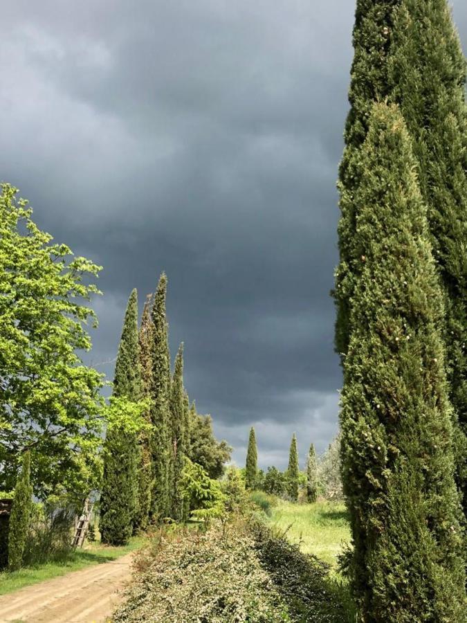 Podere Campovecchio Rapale 외부 사진